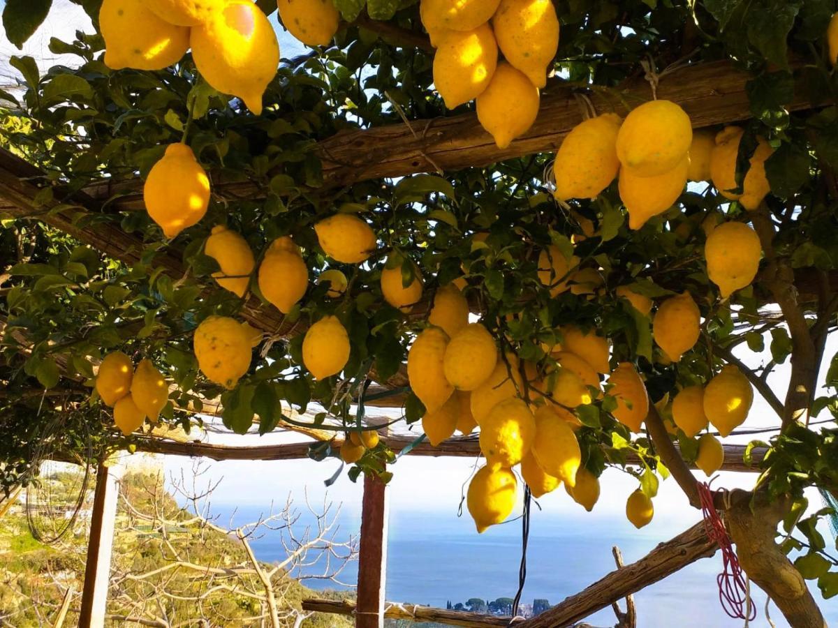 Amalfi Sea View Βίλα Scala Εξωτερικό φωτογραφία